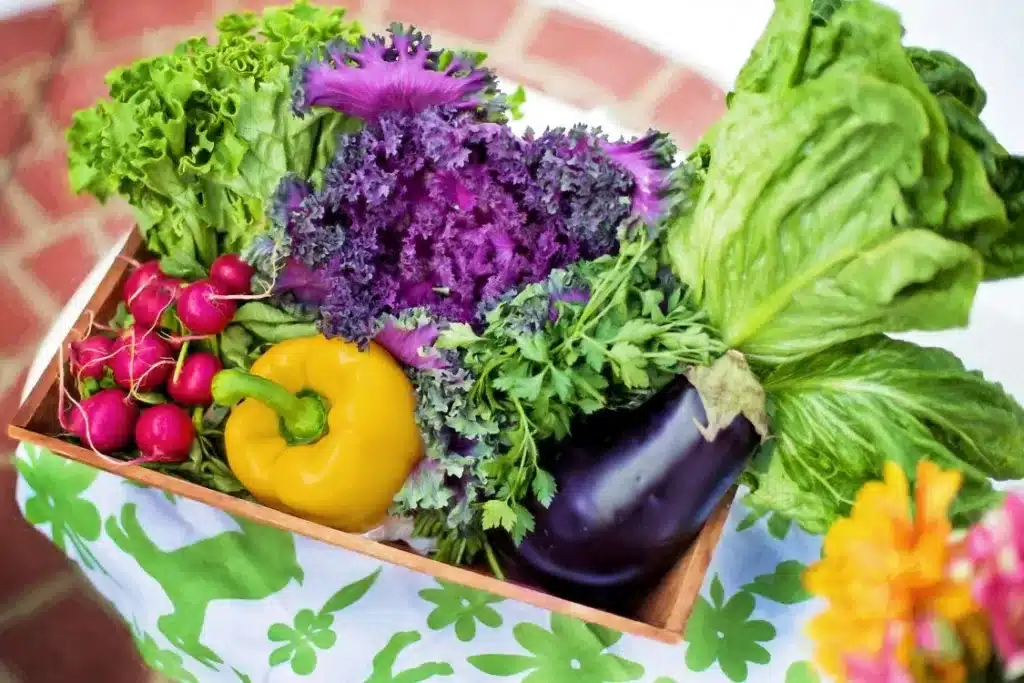 Comment réduire les aliments ultra-transformés ? 1 manger sainement01