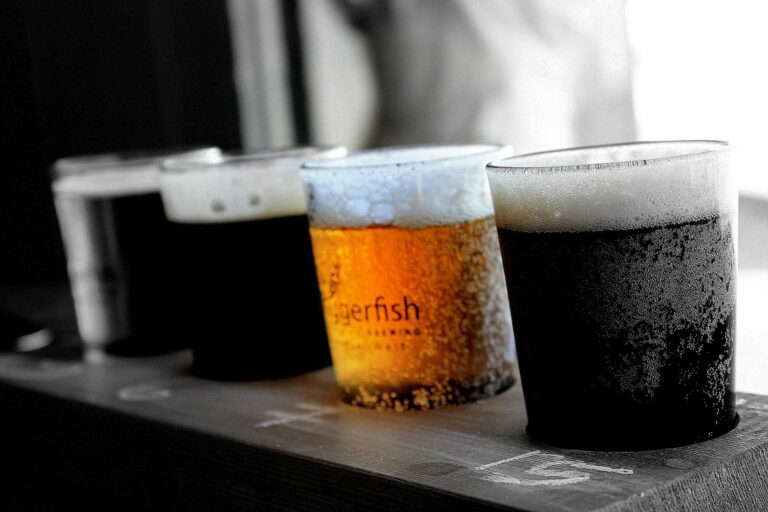 Quelle est la bière la plus saine ? Voici ce qu’il faut savoir avant d’ouvrir cette bière.