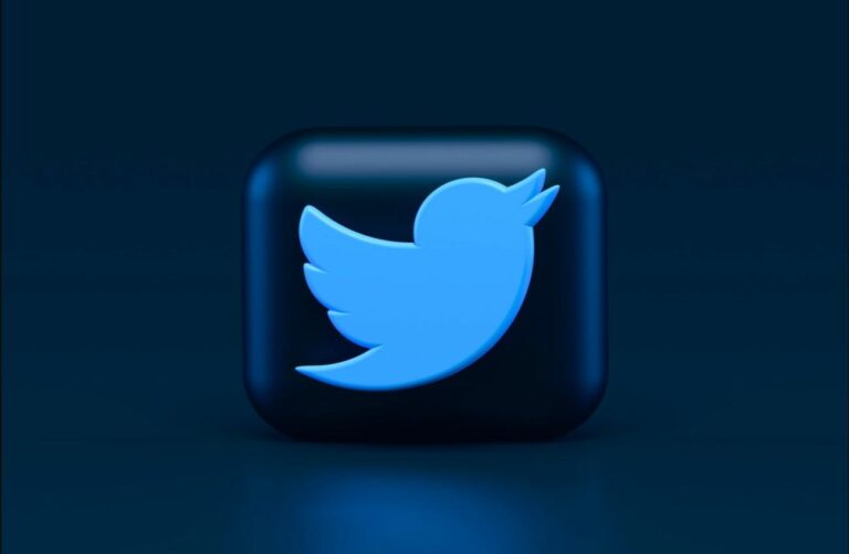 Twitter prévoit de lancer les appels et appels vidéo dans son application